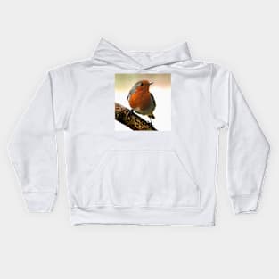 Robin Kids Hoodie